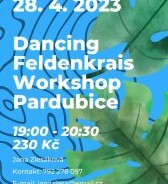 Dancing Feldenkrais Workshop